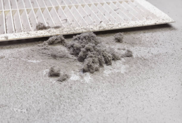 Best Duct Cleaning for Offices  in Dayton, NJ